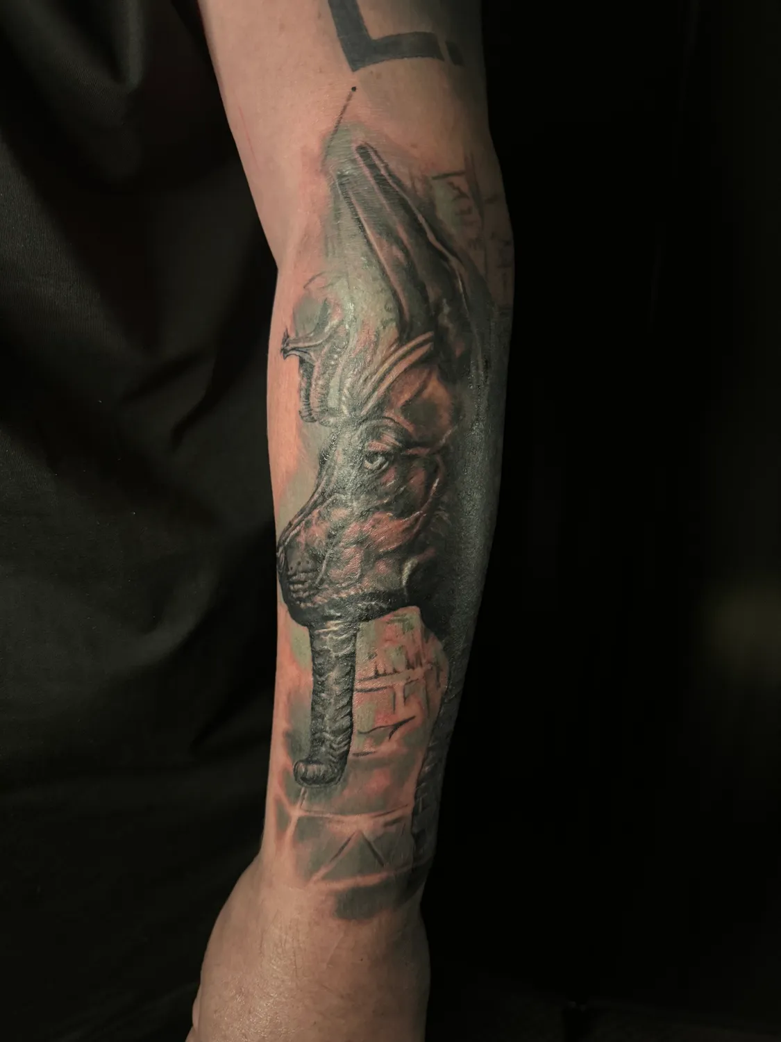 perceur vezin le coquet